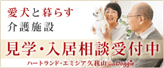 mitsuurokodenki
