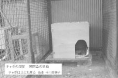 巣箱の事例