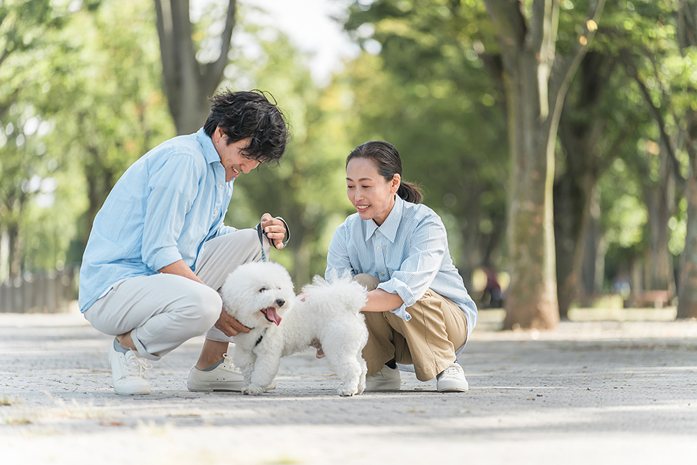 東獣に入会する理由