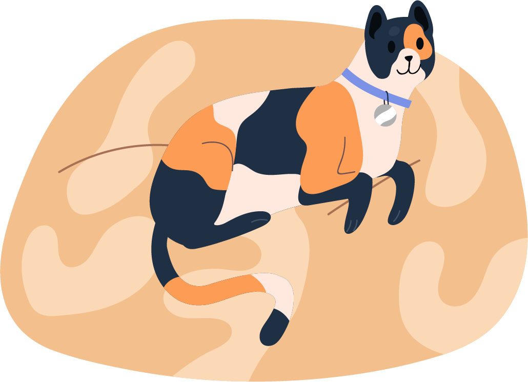 猫