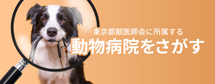 動物病院を探す
