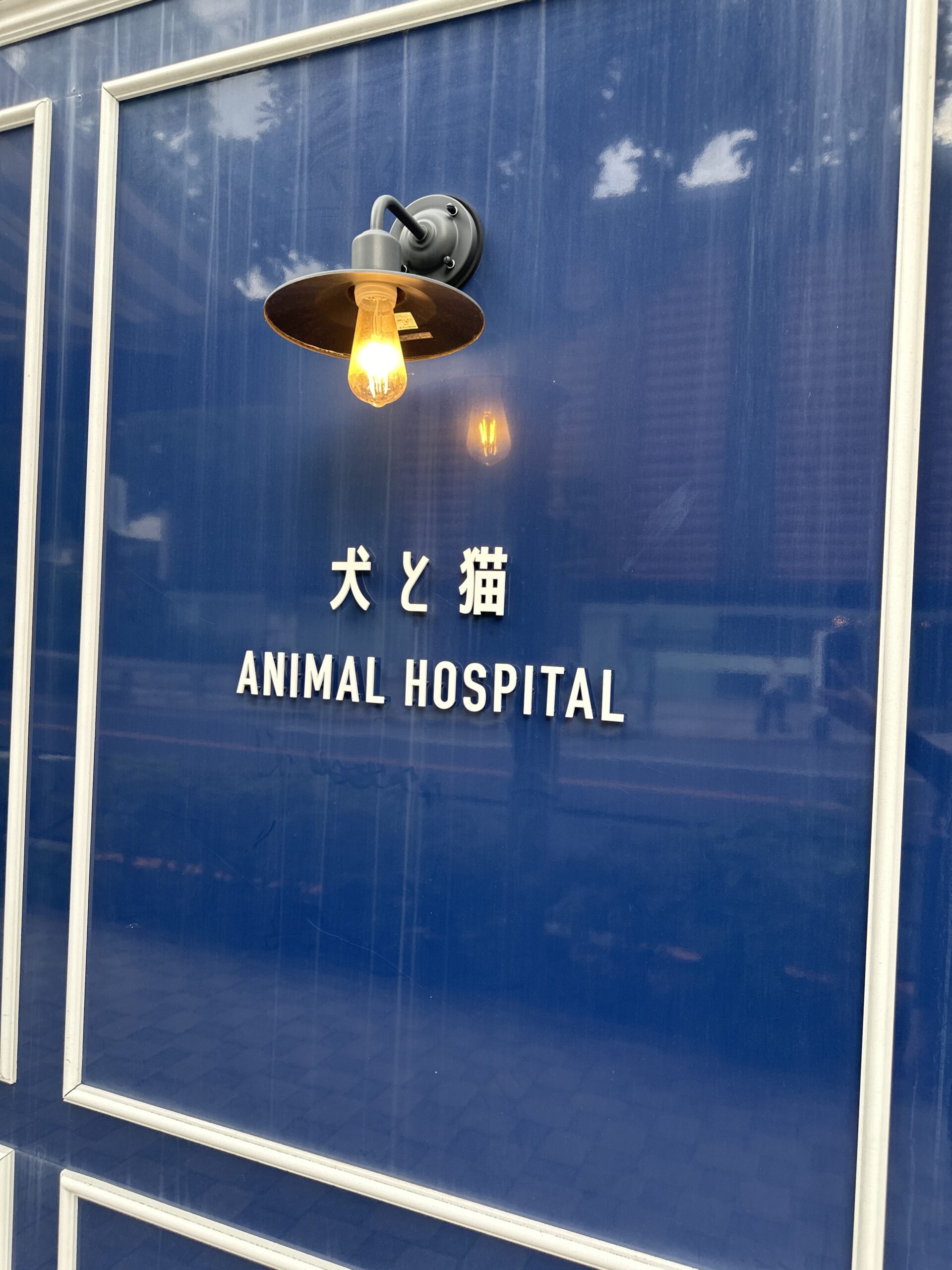 本郷獣医科病院の写真