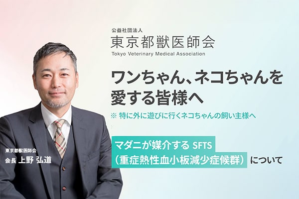SFTSから犬猫を守ろう！
